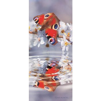   Pillangó öntapadós poszter, fotótapéta 013SKT /91x211 cm/