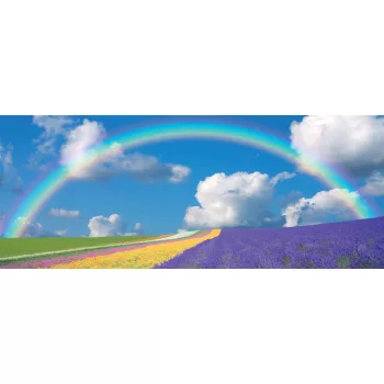 Szivárvány poszter, fotótapéta (250 cm x 104 xm)