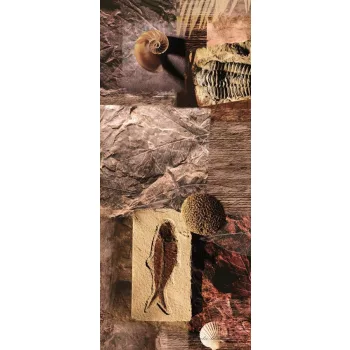 Kövület vlies poszter, fotótapéta 053VET /91x211 cm/