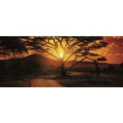 Afrika poszter, fotótapéta 055VEP /250x104 cm/