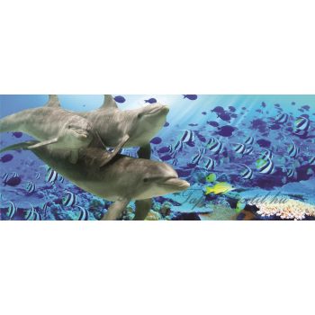 Delfinek poszter, fotótapéta 072VEP /250x104 cm/