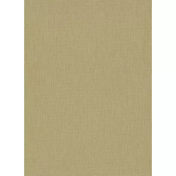   Aranybarna csík struktúrált tapéta (Fashion for Walls 10376-30)