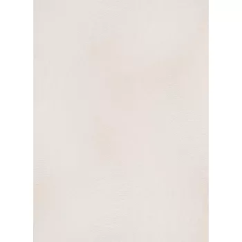 Drapp ecsetvonások tapéta (Spotlight 10403-14)