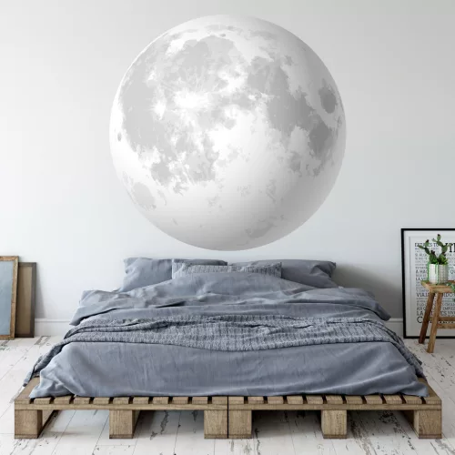 Hold vlies poszter, fotótapéta 10469VEZ1 /208x208 cm/