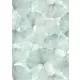 Ginkgo levél mintás tapéta türkiz(Elysium 10470-18)