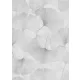 Ginkgo levél mintás tapéta fehér-szürke (Elysium 10470-31)