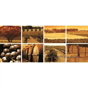   Wineyard minta vlies poszter, fotótapéta 106VEP /250x104 cm/
