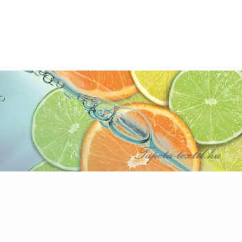 Citrus vlies poszter, fotótapéta 110VEP /250x104 cm/