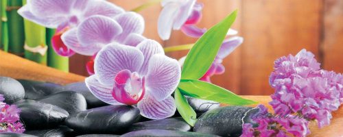 Orchidea poszter, fotótapéta 115VEP /250x104 cm/