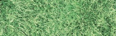 Gekkofix GRASS öntapadós tapéta 45 cm x 2 m
