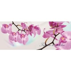 Orchidea vlies poszter, fotótapéta 116VEP /250x104 cm/