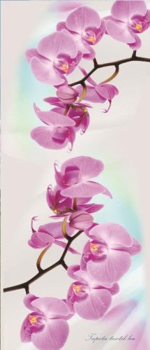 Orchidea vlies poszter, fotótapéta 116VET /91x211 cm/