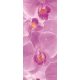 Orchidea öntapadós poszter, fotótapéta 149SKT /91x211 cm/