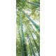 Bambusz erdő öntapadós poszter, fotótapéta 150SKT /91x211 cm/