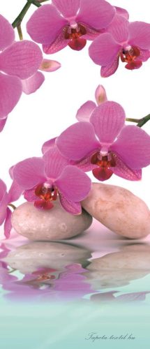 Orchidea vlies poszter, fotótapéta 151VET /91x211 cm/