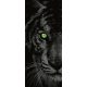 Tigris öntapadós poszter, fotótapéta 153GSKT /91x211 cm/