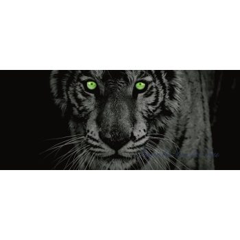 Tigris poszter, fotótapéta 153GVEP /250x104 cm/