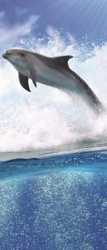 Delfin öntapadós poszter, fotótapéta 188SKT /91x211 cm/