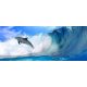 Delfin poszter, fotótapéta 188VEP /250x104 cm/