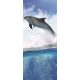Delfin vlies poszter, fotótapéta 188VET /91x211 cm/