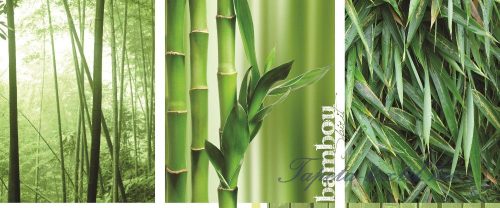 Bamboo poszter, fotótapéta 2-180VEP /250x104 cm/