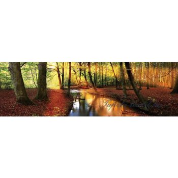   Őszi erdő vlies poszter, fotótapéta 2018VEE-XXL /624x219 cm/