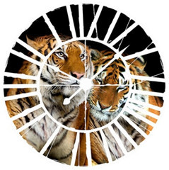 Tigrisek az óra mögött vlies poszter, fotótapéta 21403VEZ1 /208x208 cm/