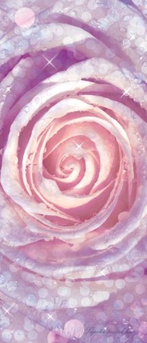 Rózsa vlies poszter, fotótapéta 2157VET /91x211 cm/