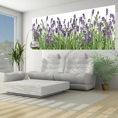 Levendula poszter, fotótapéta (250 cm x 104 xm)