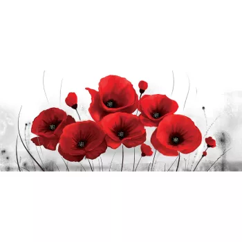 Pipacs poszter, fotótapéta (250 cm x 104 xm)