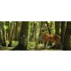 Szarvas az erdőben poszter, fotótapéta 2287VEP /250x104 cm/