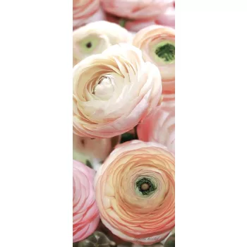 Rózsák vlies poszter, fotótapéta 2297VET /91x211 cm/