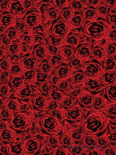 Rózsák vlies poszter, fotótapéta 2390VE-A /206x275 cm/