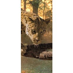 Jaguár vlies poszter, fotótapéta 242VET /91x211 cm/