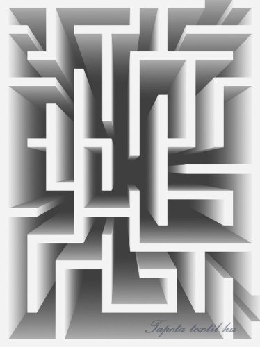 3D labirintus vlies poszter, fotótapéta 2455VE-A /206x275 cm/