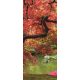 Virágzó fa öntapadós poszter, fotótapéta 270SKT /91x211 cm/