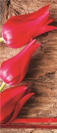 Tulipánok vlies poszter, fotótapéta 272VET /91x211 cm/