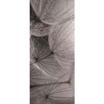 Pitypang vlies poszter, fotótapéta 281VET /91x211 cm/