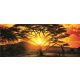African Sunset poszter, fotótapéta 400VEP /250x104 cm/