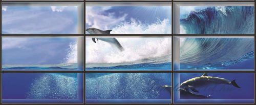 Delfin az ablakon át vlies poszter, fotótapéta 441VEEXXL /624x219 cm/