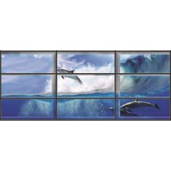   Delfin az ablakon át vlies poszter, fotótapéta 441VEEXXXL /832x254 cm/