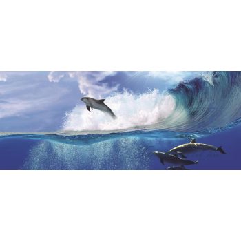Delfin vlies poszter, fotótapéta 442VEEXXXL /832x254 cm/