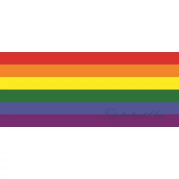 Zászló poszter, fotótapéta 484VEP /250x104 cm/