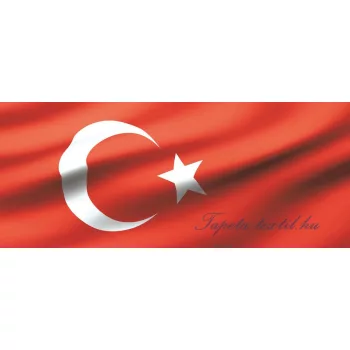 Zászló poszter, fotótapéta 489VEP /250x104 cm/