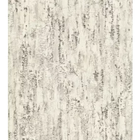 Nyírfa fakéreg  mintás tapéta  (554045)