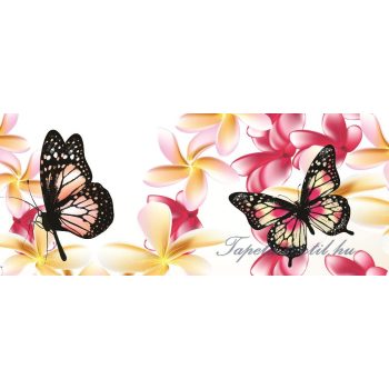 Pillangók poszter, fotótapéta 558VEP /250x104 cm/