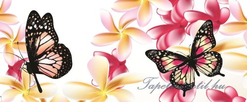Pillangók poszter, fotótapéta 558VEP /250x104 cm/