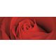 Rózsa minta vlies poszter, fotótapéta 560VEP /250x104 cm/