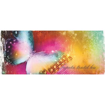 Pillangó poszter, fotótapéta 575VEP /250x104 cm/