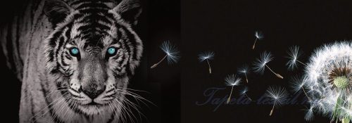 Tigris és pitypang vlies poszter, fotótapéta 792VEEXXXL /832x254 cm/